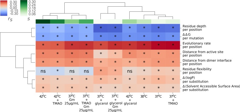 Differential strengths of molecular determinants guide environment specific mutational fate.
